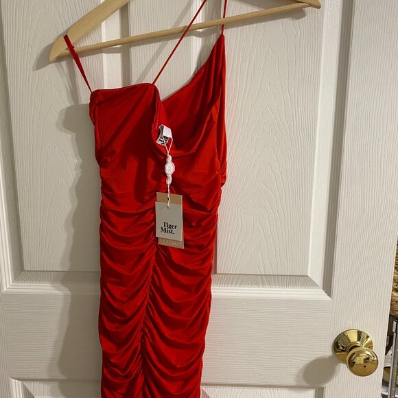 Tiger Mist Bodycon Mini Dress - Picture 6 of 11